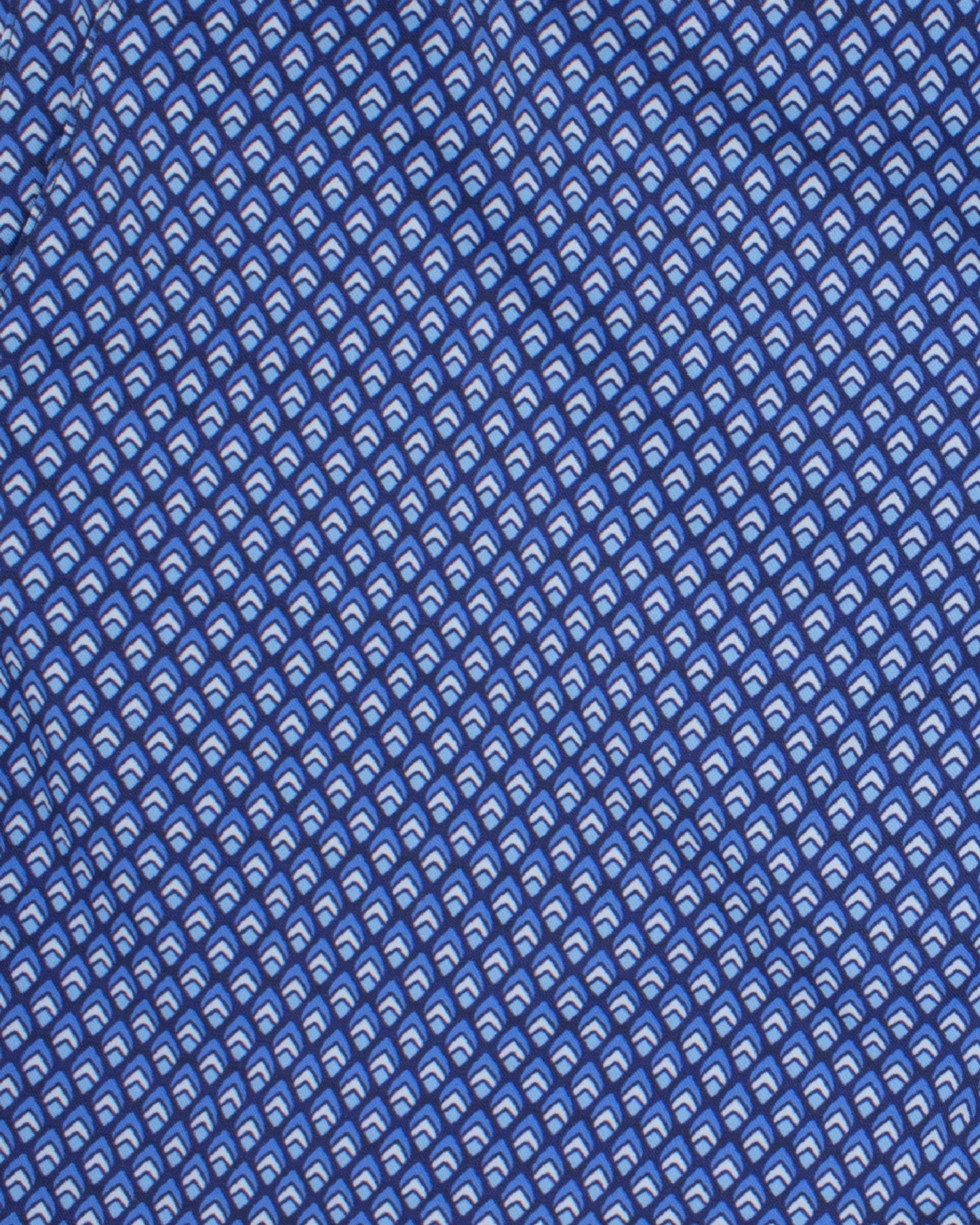 Pool Acorn Geo Navy Swim Trunk