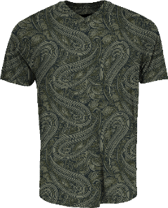 VICTOR PAISLEY BADALONA SAGE MEN'S EXTRA-FINE MERINO V-NECK TEE