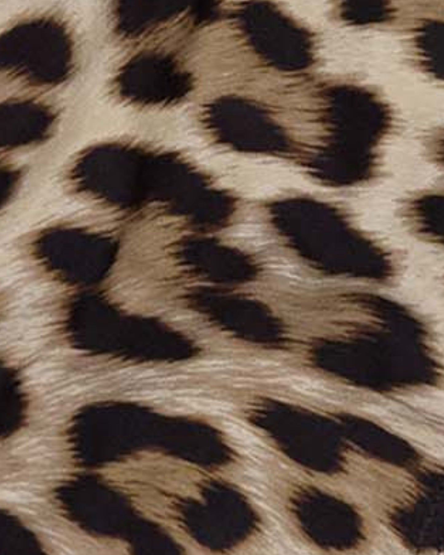 SAMARA LEOPARD BROWN WOMENS BIKINI BOTTOM
